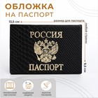 Обложка для паспорта, цвет чёрный - фото 19069635