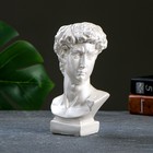 Кашпо - органайзер "Бюст Давид" жемчуг, 9х17х8,5см  (артикул 7501899)  большой выбор товаров оптом и в розницу по низким ценам с доставкой