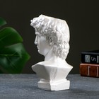 Кашпо - органайзер "Бюст Давид" жемчуг, 9х17х8,5см  (артикул 7501899)  большой выбор товаров оптом и в розницу по низким ценам с доставкой