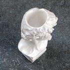 Кашпо - органайзер "Бюст Давид" жемчуг, 9х17х8,5см  (артикул 7501899)  большой выбор товаров оптом и в розницу по низким ценам с доставкой