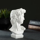 Кашпо - органайзер "Бюст Давид" жемчуг, 9х17х8,5см  (артикул 7501899)  большой выбор товаров оптом и в розницу по низким ценам с доставкой