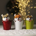 Мягкая игрушка «Тигрёнок джентльмен», МИКС, 12 см 7018599