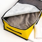 Органайзер для хранения белья, кофр с pvc-окном «Кошки», 43 х 28,5 х 20 см. - Фото 4