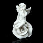 Сувенир полистоун "Задумчивый ангелок на розочке" МИКС 6,5х3,5х3,8 см - Фото 1