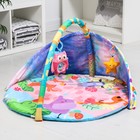 Развивающий коврик с дугами «Слоник», 5 игрушек, размер 70х53 см 7039018