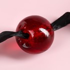 Леденец-кляп «Молчание-знак согласия» со вкусом чёрной смородины, 30 г. (18+) - фото 24397452