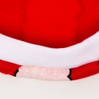 Новый год. Толстовка Santa, S (ДС 25, ОГ 35 см) 6980863 - фото 52065