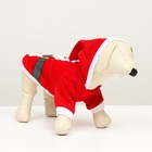 Толстовка для животных Santa, L (ДС 35, ОГ 45 см) - Фото 2