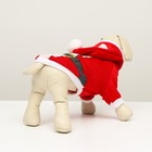 Толстовка для животных Santa, L (ДС 35, ОГ 45 см) - Фото 4