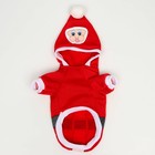 Новый год. Толстовка Santa, XL (ДС 40, ОГ 50 см) 6980866 - фото 52084