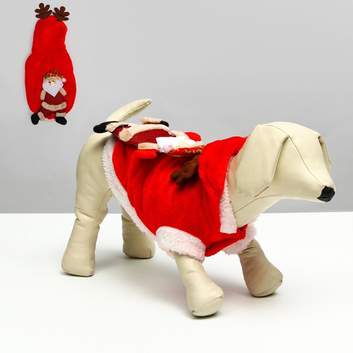 Куртка на кнопочках с меховой отделкой Santa, L (ДС 30, ОГ 42 см) - Фото 1