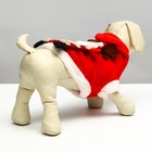 Куртка на кнопочках с меховой отделкой Santa, L (ДС 30, ОГ 42 см) - Фото 3