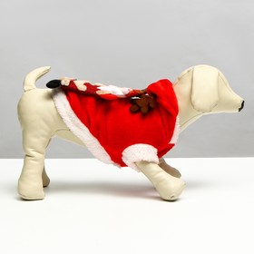 

Куртка на кнопочках с меховой отделкой Santa, XXL (ДС 36, ОШ 40, ОГ 42 см)