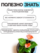 Грунт универсальный «Рецепты Дедушки Никиты» 5 л. - Фото 5