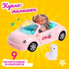 Кукла малышка Lyna в путешествии с машиной, питомцем и аксессуарами, МИКС - фото 9448246