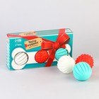 Набор мячей для собак «Косточка в подарок», 3 мяча - Фото 1