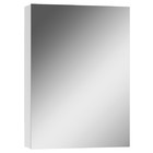 Зеркало шкаф для ванной комнаты Айсберг Норма 50, 1 зеркало - Фото 1