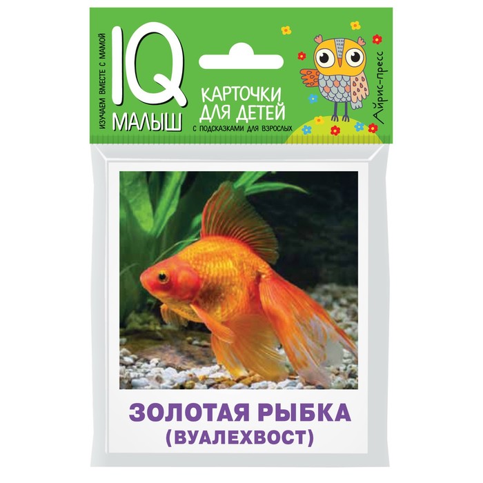 

Умный малыш. Аквариумные рыбы. Набор карточек для детей
