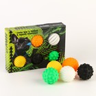 Мяч игрушка для собак «Мы с тобой в одной команде», 5 мячей - фото 42243620