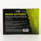 Мяч игрушка для собак «Мы с тобой в одной команде», 5 мячей 7142177