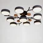 Люстра 1316/9GR LED 216Вт 3000-6000К серый 87х87х17 см BayerLux 5572108 - фото 13997192