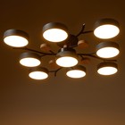 Люстра 1316/9GR LED 216Вт 3000-6000К серый 87х87х17 см BayerLux 5572108 - фото 13997193