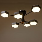 Люстра 1318/6BK LED 144 Вт 3000-6000К чёрный 71×65×25 см BayerLux - фото 53926285