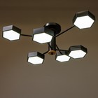 Люстра 1318/6BK LED 144 Вт 3000-6000К чёрный 71×65×25 см BayerLux - фото 53926286