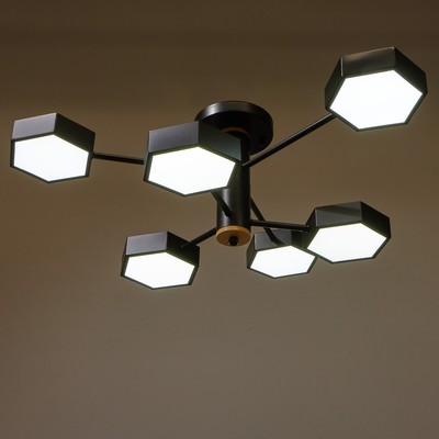 Люстра 1318/6BK LED 144 Вт 3000-6000К чёрный 71×65×25 см BayerLux