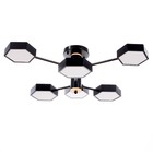 Люстра 1318/6BK LED 144 Вт 3000-6000К чёрный 71×65×25 см BayerLux - фото 53926287