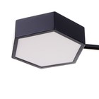 Люстра 1318/6BK LED 144 Вт 3000-6000К чёрный 71×65×25 см BayerLux - фото 53926288