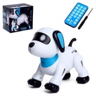 УЦЕНКА Робот «Пультовод собачка», на дистанционном управлении, русский чип, световые эффекты, работает от батареек - Фото 1