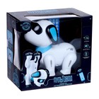 Уценка Робот «Пультовод собачка», на дистанционном управлении, русский чип, световые эффекты, работает от батареек - Фото 6