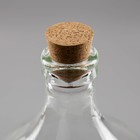 Бутыль стеклянная «Дамижана», 11 л, с крышкой - Фото 3