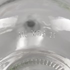 Бутыль стеклянная «Дамижана», 11 л, с крышкой - фото 4641002