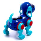 Робот-собака IQ DOG, ходит, поёт, работает от батареек, цвет синий - фото 7481787