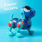 Робот-собака IQ DOG, световые и звуковые эффекты, русские песенки, работает от батареек, цвет синий - Фото 4