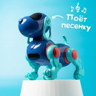 Робот-собака IQ DOG, ходит, поёт, работает от батареек, цвет синий - фото 3739431