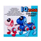 Робот-собака IQ DOG, световые и звуковые эффекты, русские песенки, работает от батареек, цвет синий - Фото 10