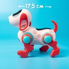Робот-собака IQ DOG, ходит, поёт, работает от батареек, цвет розовый - фото 7024289