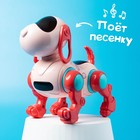Робот-собака IQ DOG, ходит, поёт, работает от батареек, цвет розовый - Фото 6