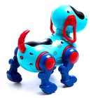 Робот-собака IQ DOG, ходит, поёт, работает от батареек, цвет голубой - фото 6494622