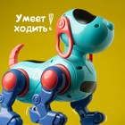 Робот-собака IQ DOG, ходит, поёт, работает от батареек, цвет голубой - фото 6494624