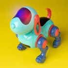Робот-собака IQ DOG, ходит, поёт, работает от батареек, цвет голубой - фото 6494627
