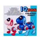 Робот-собака IQ DOG, ходит, поёт, работает от батареек, цвет голубой - фото 6494629