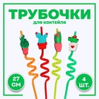кактусы