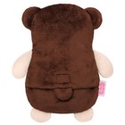Мягкая игрушка 3 в 1 «Мишка» с метрикой, с вишнёвыми косточками, 19,5 см 7499962 - фото 16333814