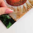 Алмазная мозаика на новый год с частичным заполнением «Рыжий кот», 20×25 см, набор для творчества - Фото 4