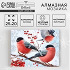 Алмазная мозаика на новый год с частичным заполнением «Снегири», 20×25 см, набор для творчества - Фото 1