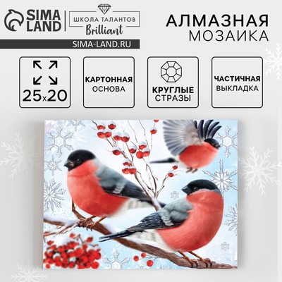 Алмазная мозаика на новый год с частичным заполнением «Снегири», 20×25 см, набор для творчества